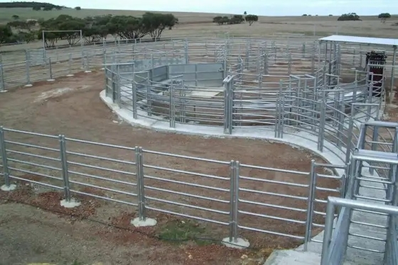 Оптоваяа цена 1.6M гальванизированная лошадь поголовья скотин сваренная панелями овцы ограждают панели для фермы