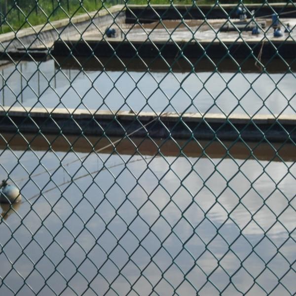 последние новости компании о Загородка звена цепи безопасностью сетки  0