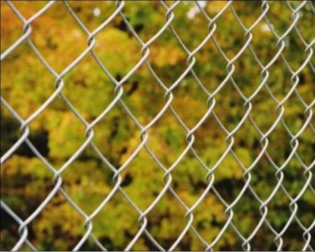 последние новости компании о Загородка звена цепи безопасностью сетки  1