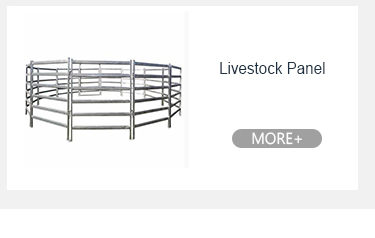 Горяче оцинкованные металлические барьеры для контроля толпы 11