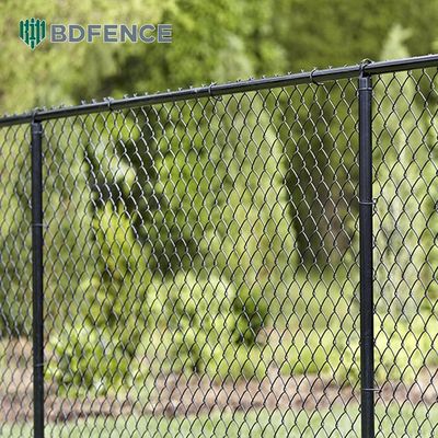 Парк Trail Chain Link Fence Разделитель зеленых насаждений