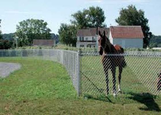 Горячая продажа Спортивный бейсбольный поле оцинкованный бриллиантовый цепь сцепления ограждения