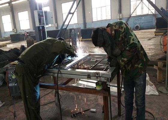 Декорация садов низко 3D стальной проволоки оцинкованный покрытый забор в Сливер