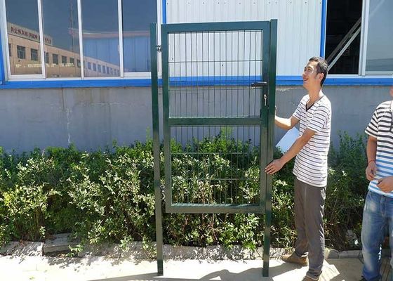 Декорация садов низко 3D стальной проволоки оцинкованный покрытый забор в Сливер