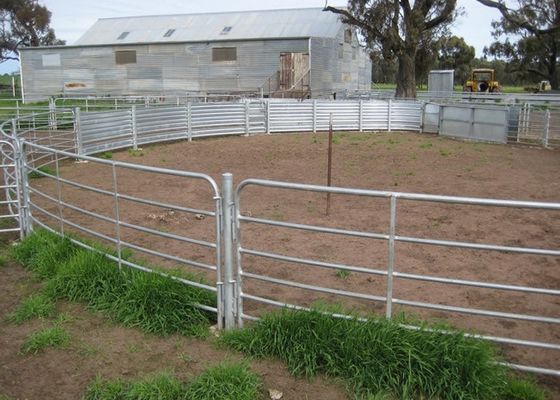 Ферма блокируя панели загородки поголовья L4m