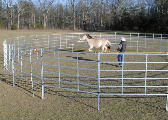 12ft гальванизированная загородка ипподрома лошади ворот Адвокатуры фермы