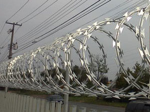 Окунутое горячее концертины гальванизировало колючую проволоку безопасностью 2.5mm