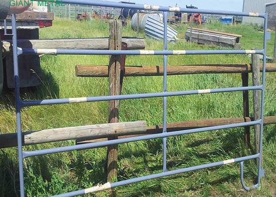 Сверхмощным ворота фермы панелей загородки поголовья высоты 1.6m гальванизированные металлом
